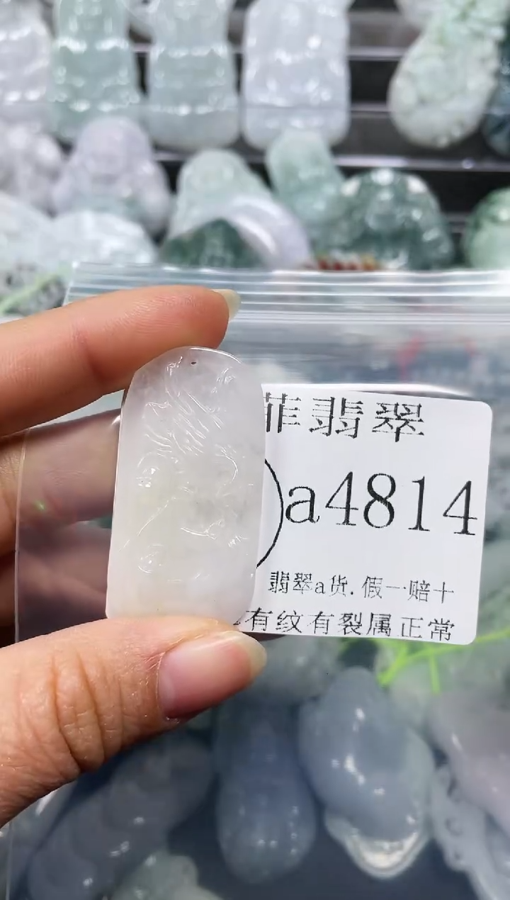 【闪购商品】翡翠颈饰未镶嵌闪购4814