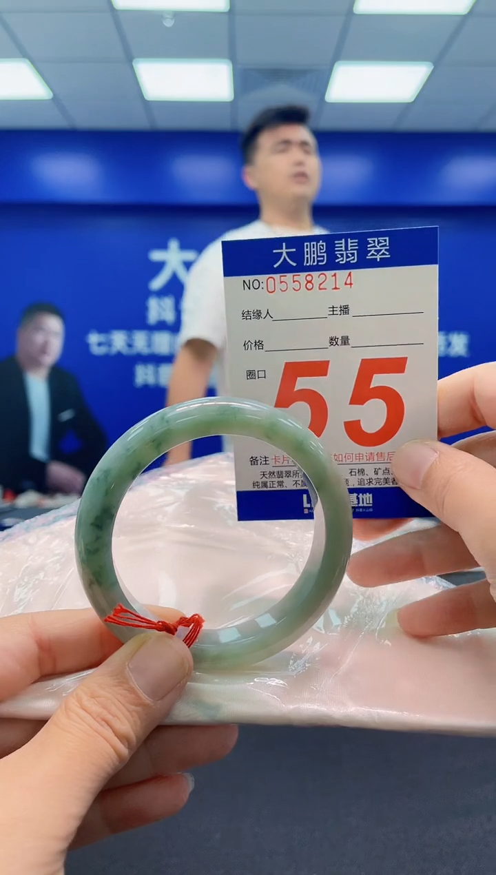 未镶嵌手镯翡翠AAAAAAAAA