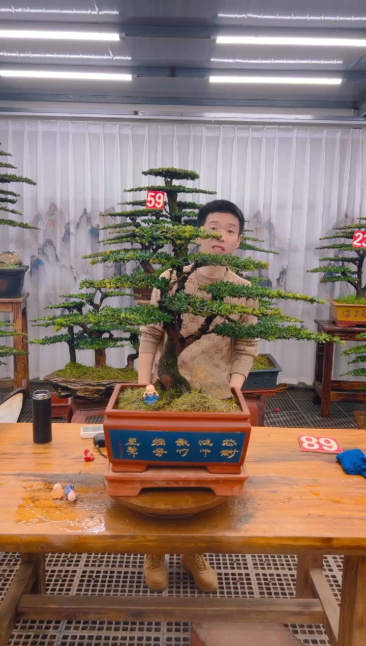 【闪购商品】紫砂精品盆景直播间一物一拍