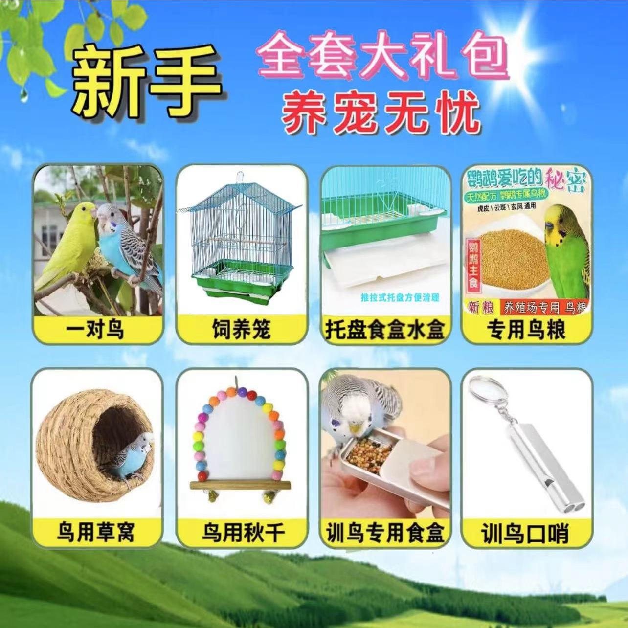 手玩虎皮鹦鹉新手大礼包【虎皮2只+加厚鸟笼+鸟窝+鸟粮+玩具】