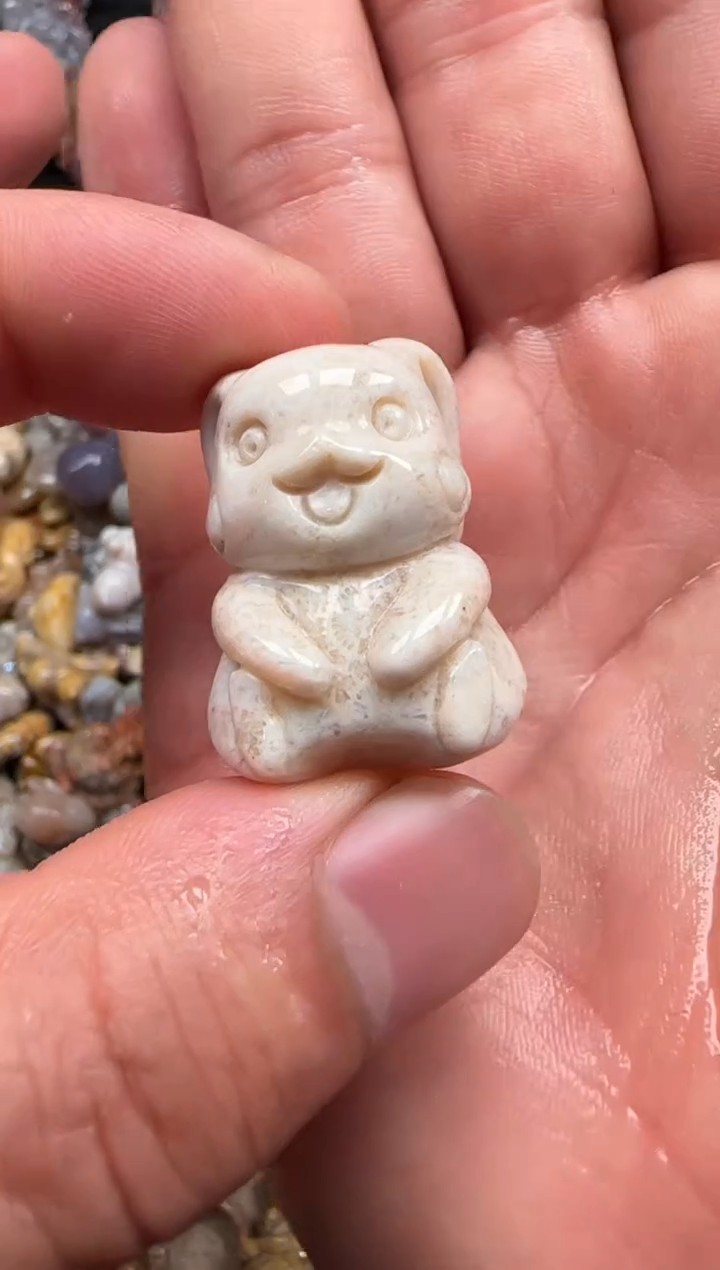 【闪购商品】硅化珊瑚（珊瑚玉）颈饰未镶嵌612