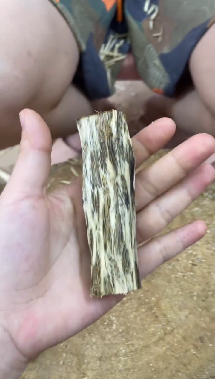 【闪购商品】沉香碎屑沉香木棋楠沉香 原料文创1