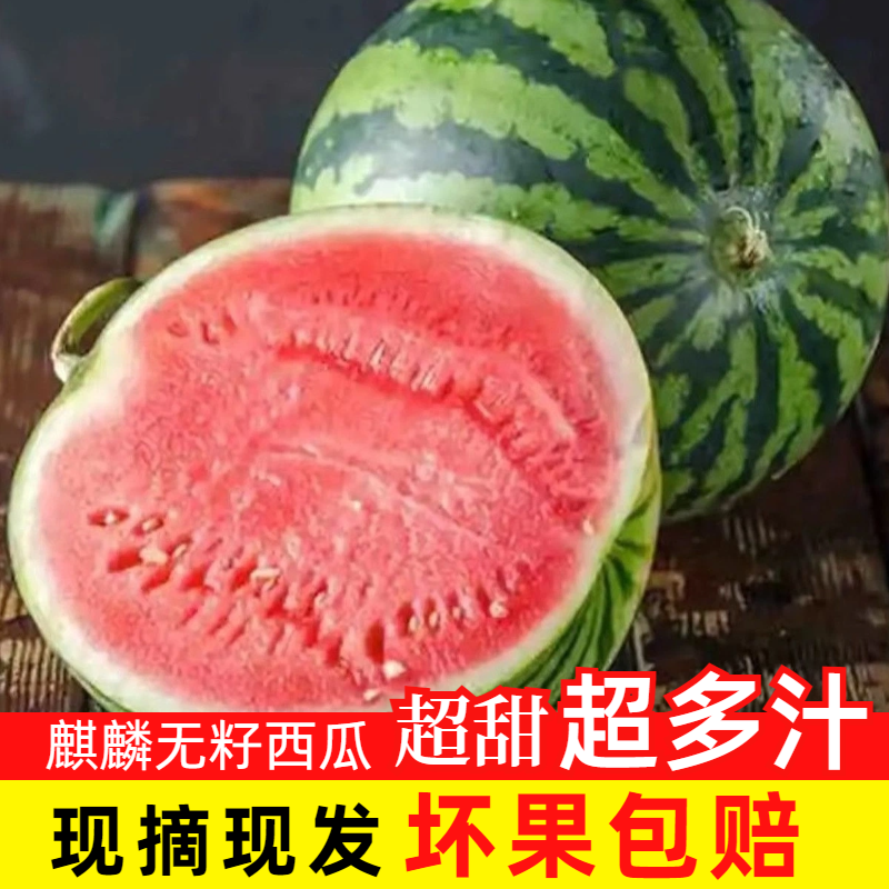 TT正宗广东麒麟西瓜粉心美都爆甜多汁盐碱地西瓜甜度更高