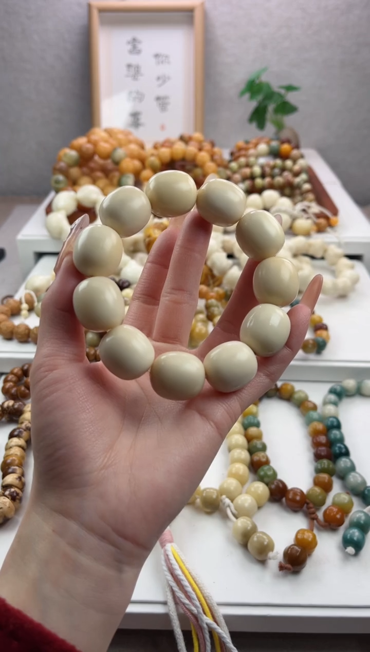 【闪购商品】菩提根/象牙果手串象牙果枣珠19*21mm