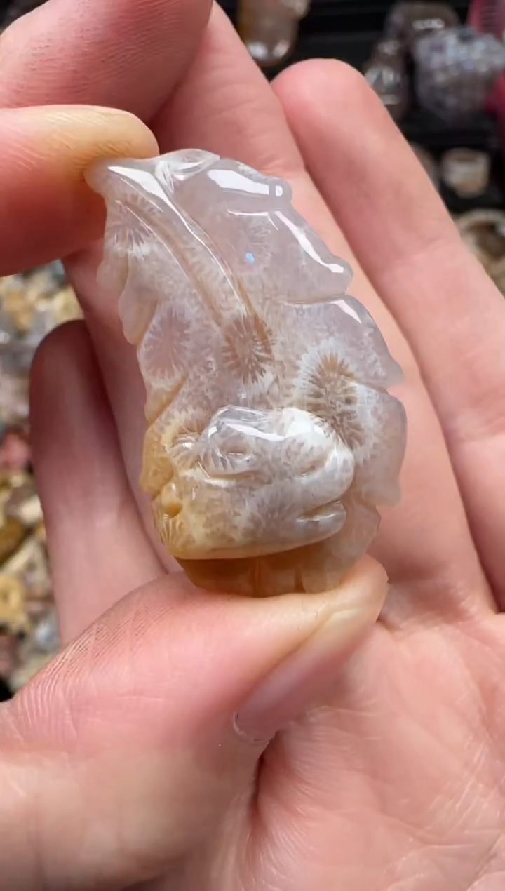 颈饰未镶嵌硅化珊瑚（珊瑚玉）245