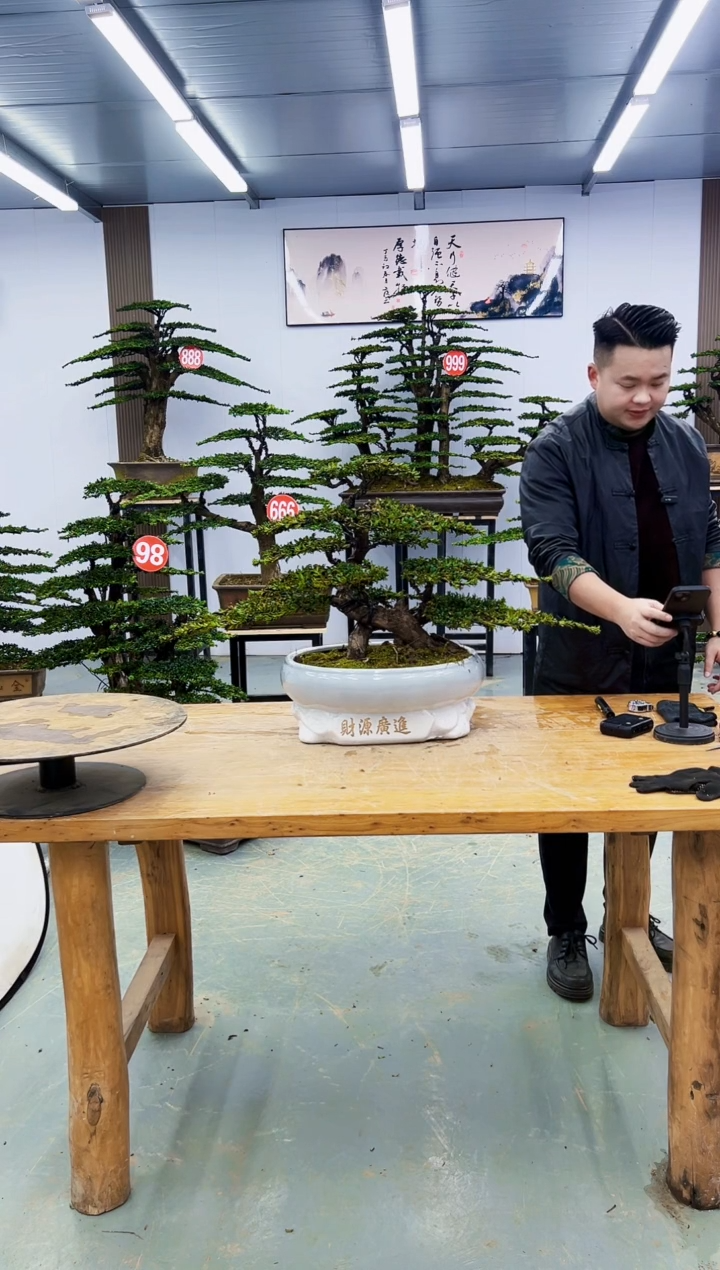 无花朵00000000000