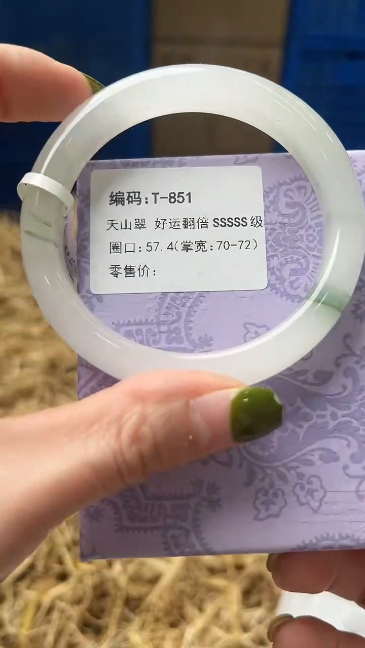 未镶嵌手镯石英质玉T851