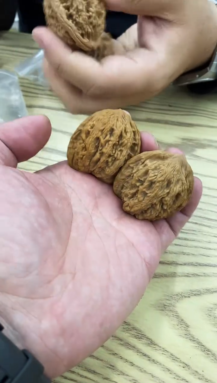 把件核桃麦穗虎头大尺寸无修#4299898