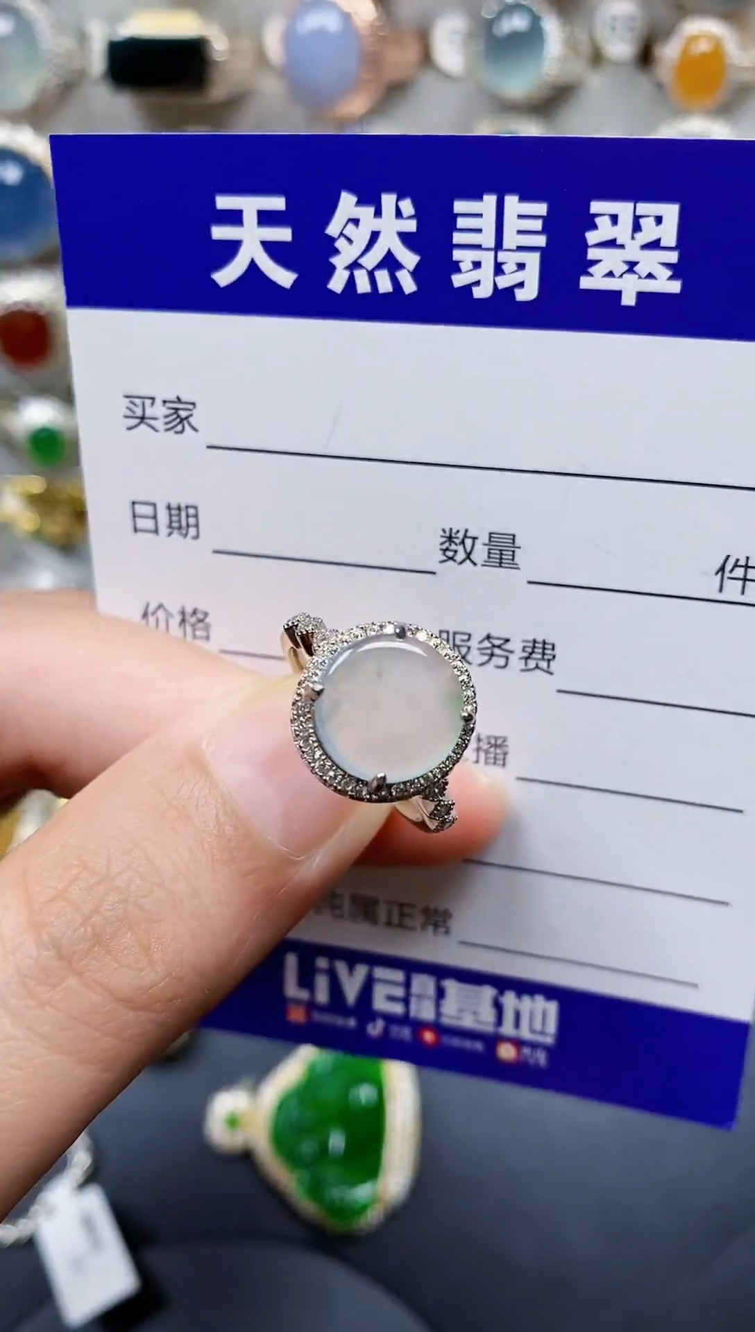 银S925镶嵌翡翠耳饰220