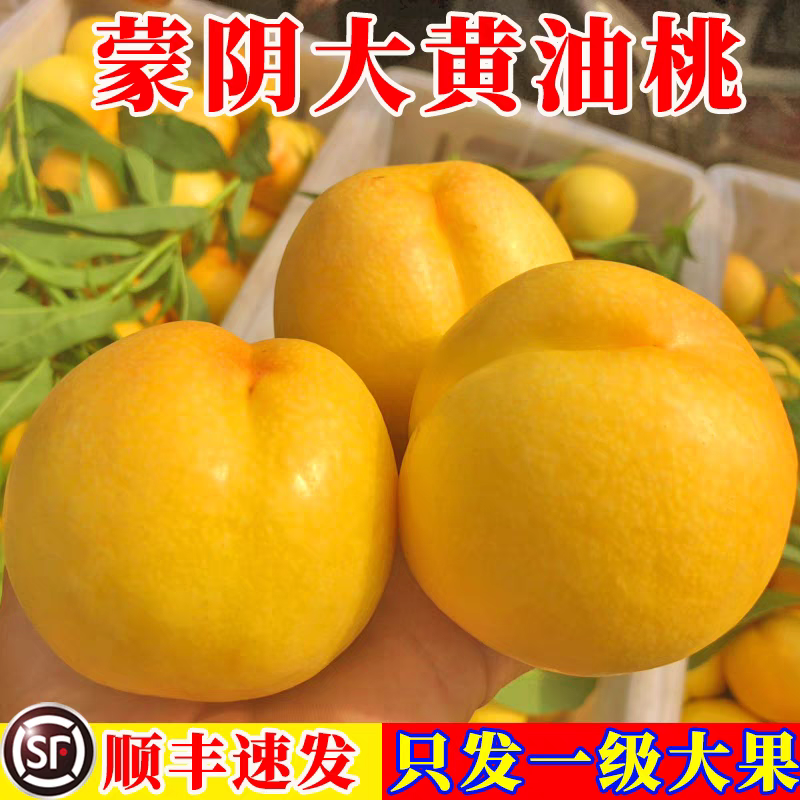 【顺丰-次日达】蒙阴黄金油桃 黄金蜜桃 脆甜多汁 应季水果 现摘现发 黄肉大果 应季新鲜水果桃子山东省