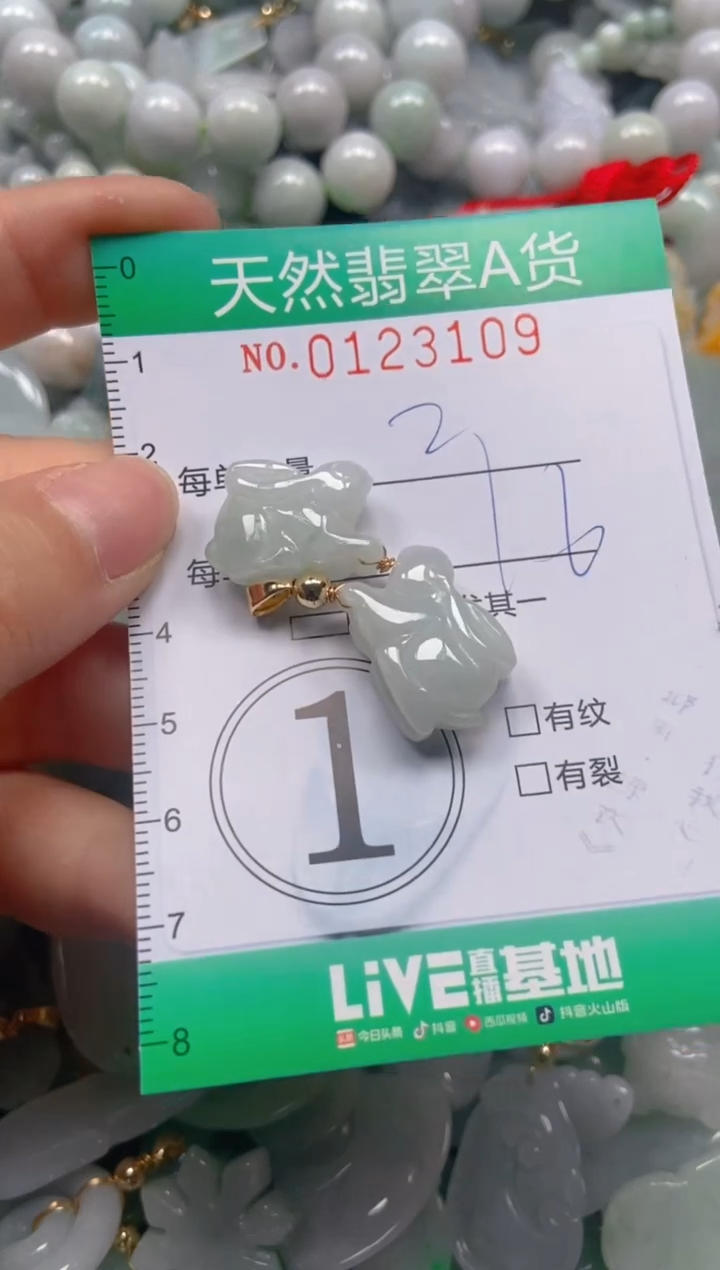 翡翠未镶嵌颈饰闪购0123109
