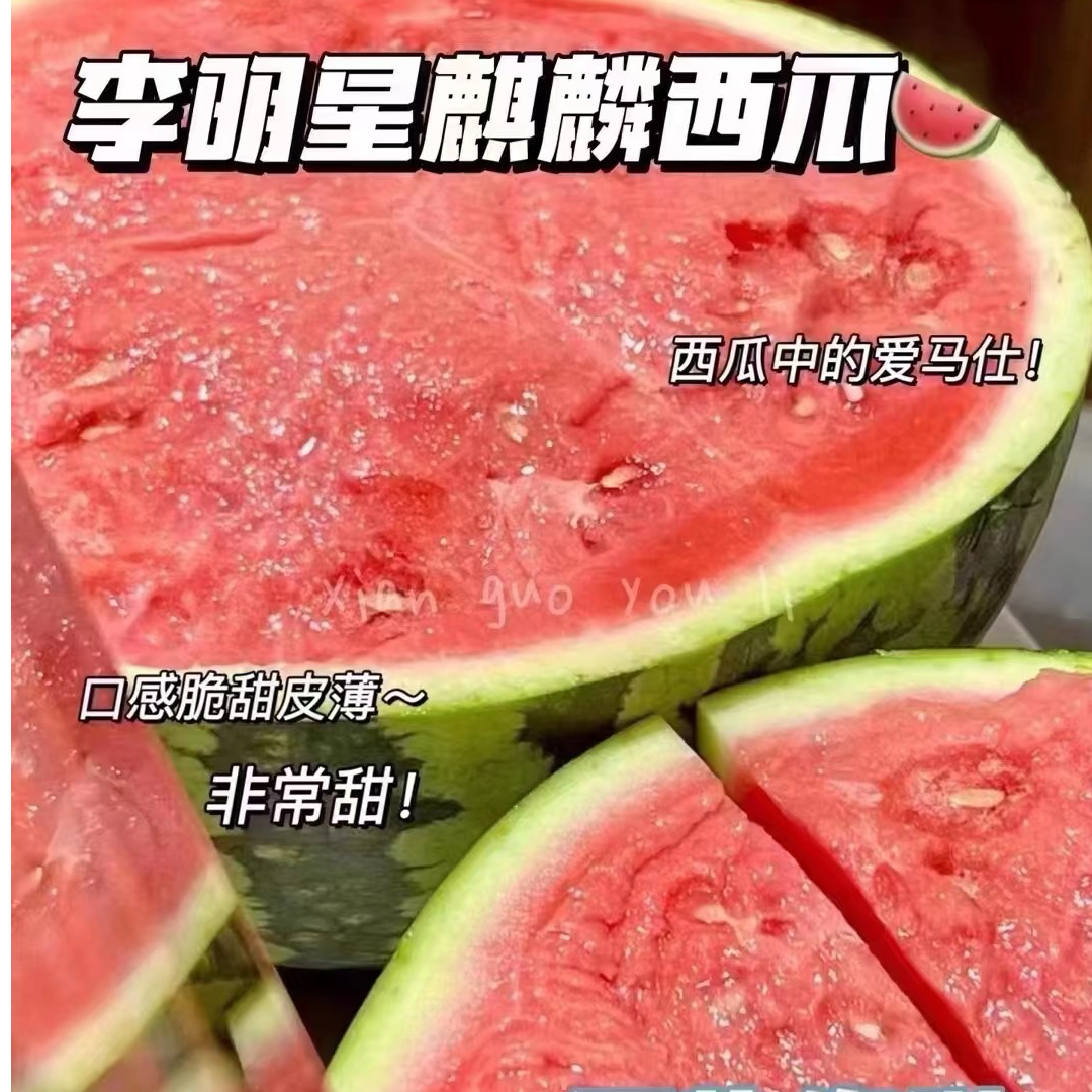 李-明-兴麒麟西瓜5斤+海南省