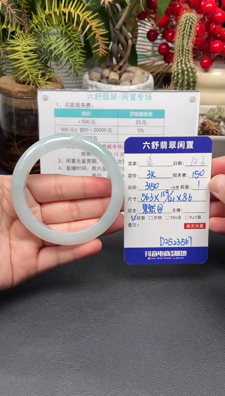 未镶嵌手镯翡翠念**叨D2523567