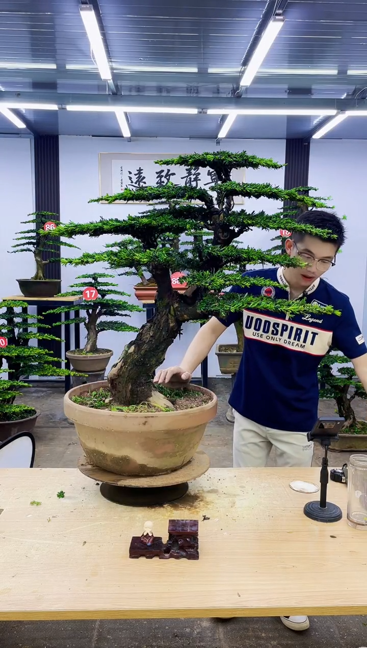 无花朵000000000000