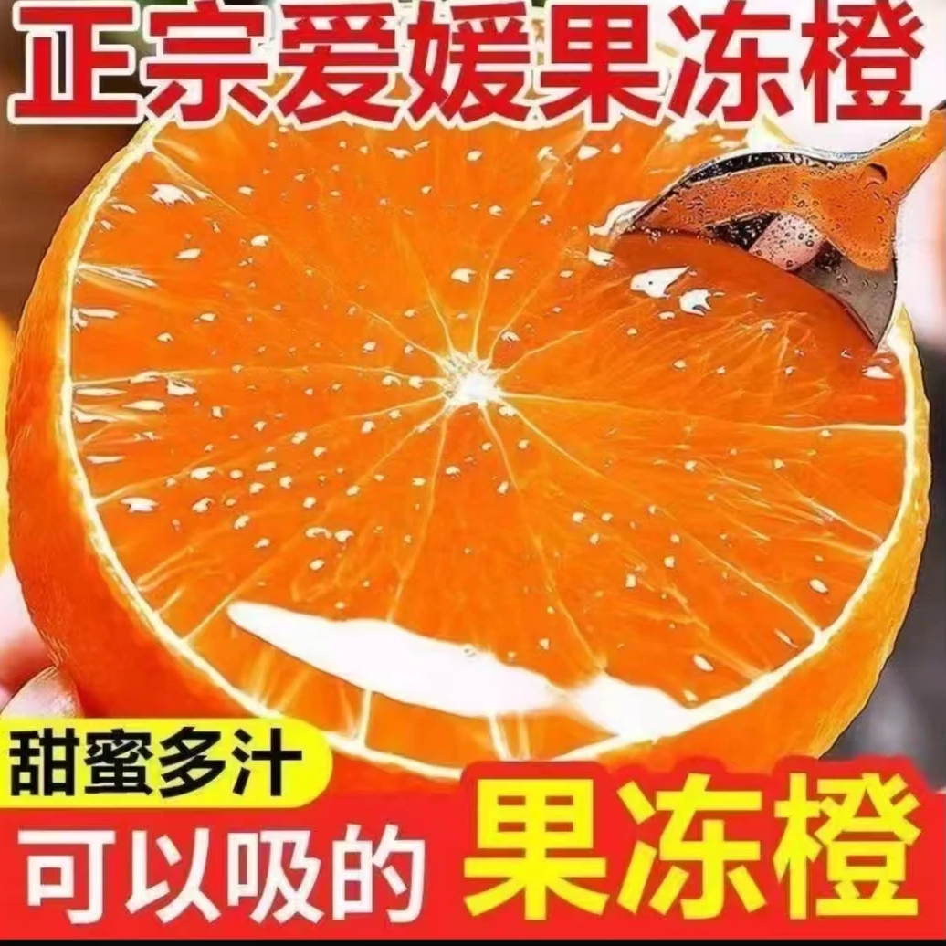 四川爱媛38号果冻橙手剥橙爆甜多汁