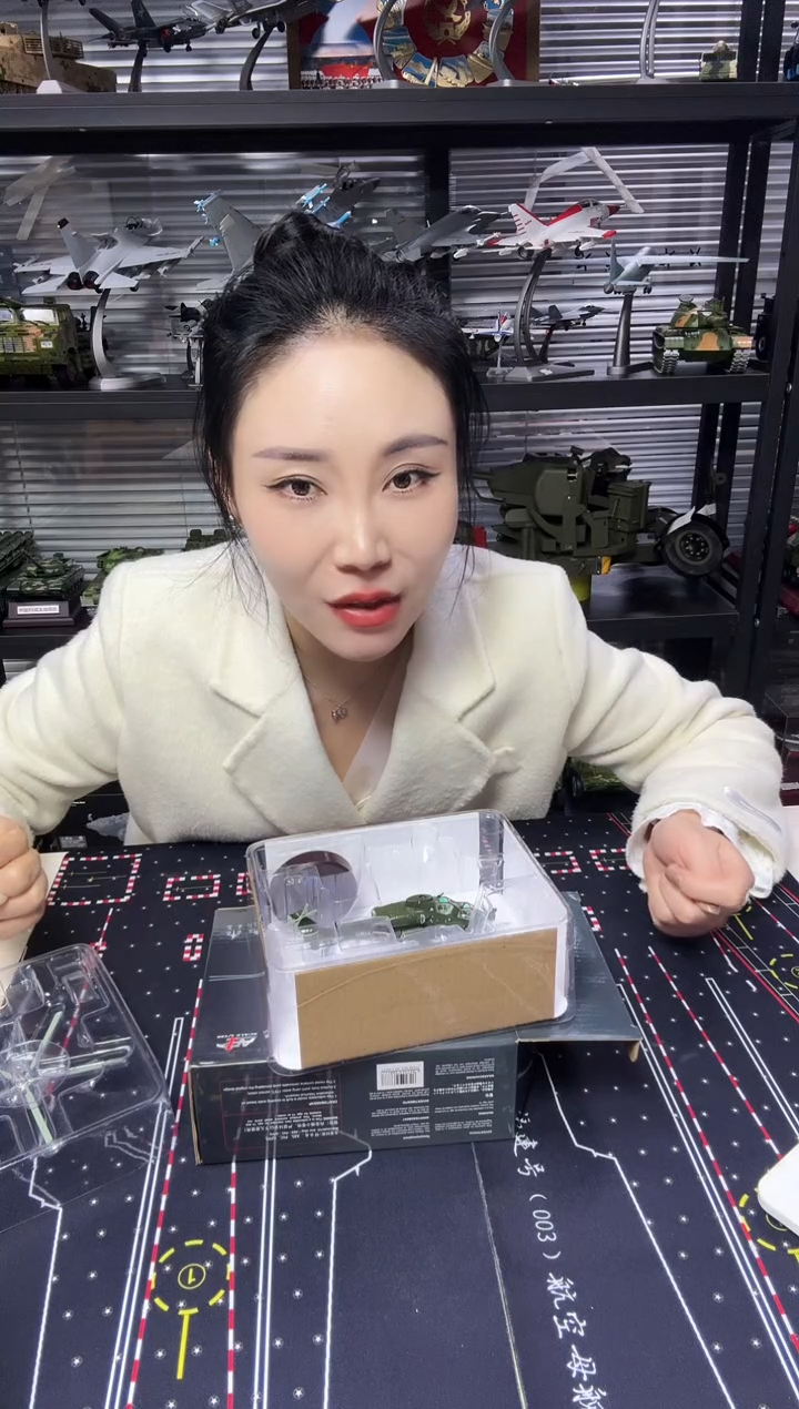 1/100合金飞机直10