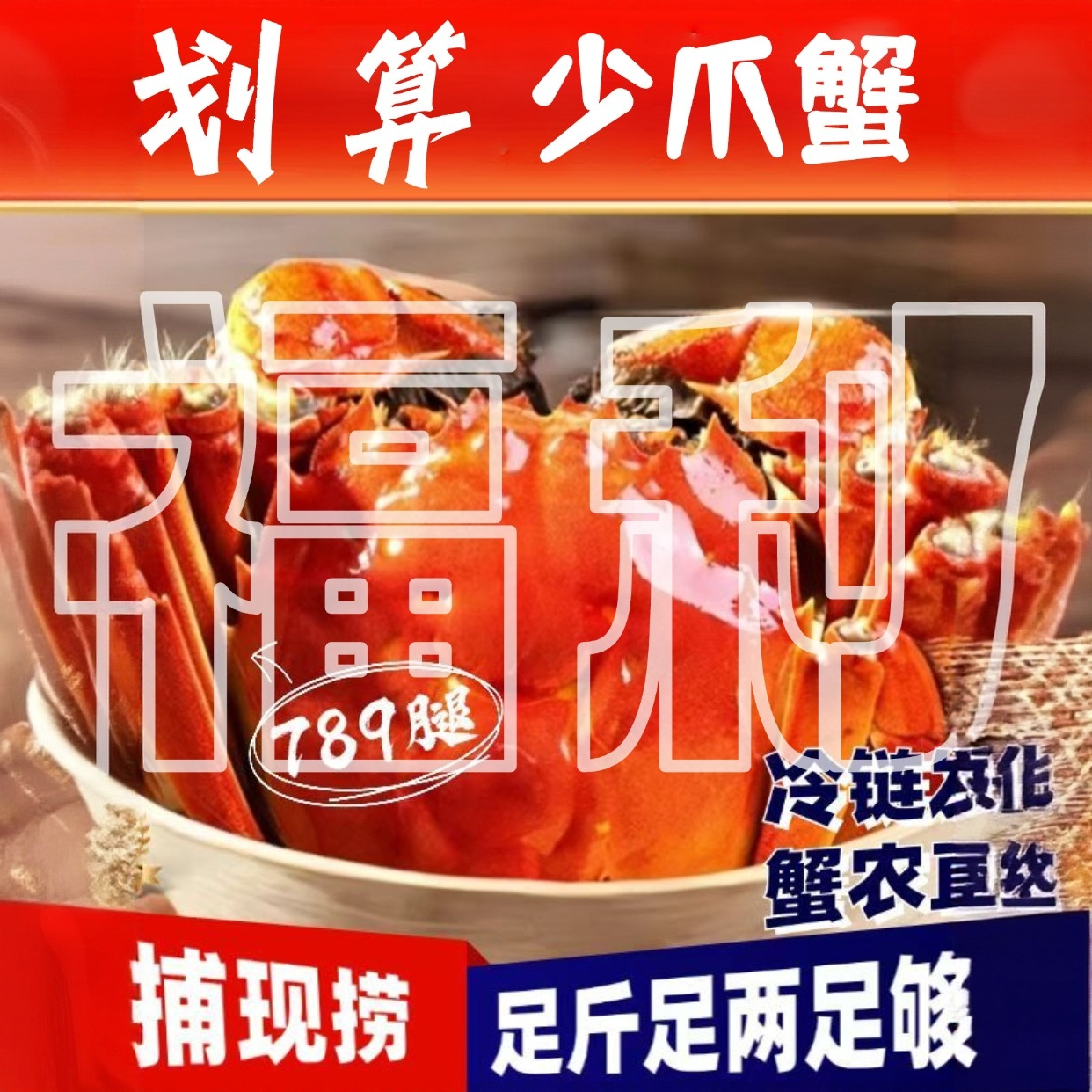 【活蟹！！！】母蟹4两左右8/9/10只大闸蟹