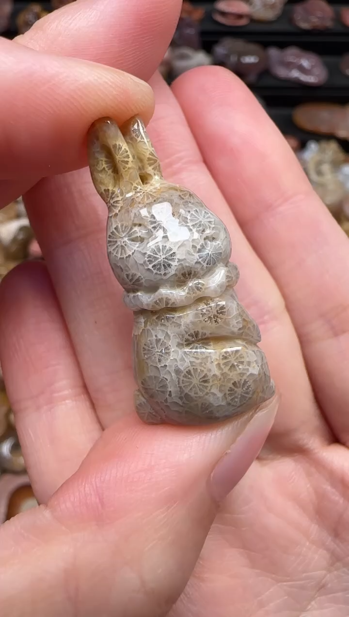 颈饰未镶嵌硅化珊瑚（珊瑚玉）397