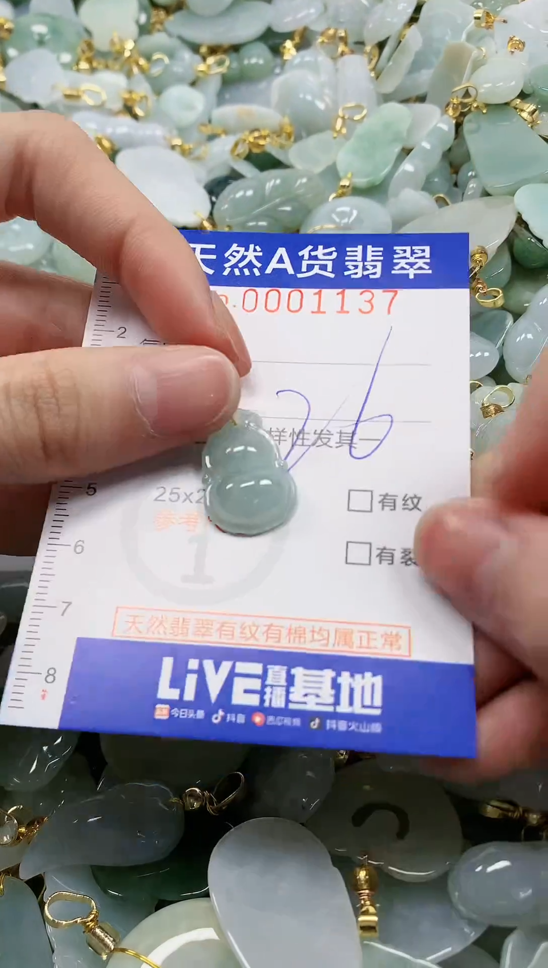 颈饰未镶嵌翡翠纯天然a货翡翠