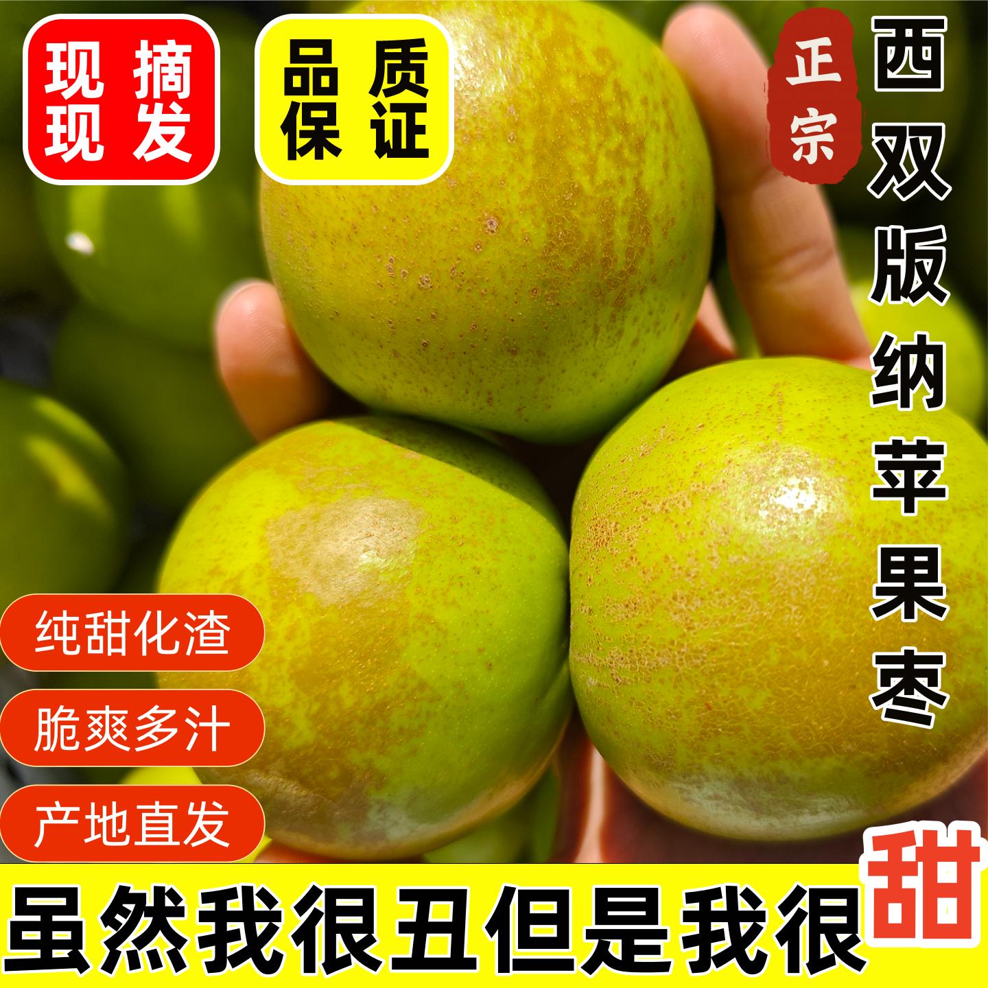 【花皮果】糖斑果云南西双版纳苹果枣新鲜采摘产地3-5斤脆甜多汁
