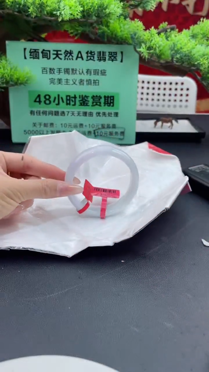【闪购商品】翡翠手镯未镶嵌翡翠手镯5
