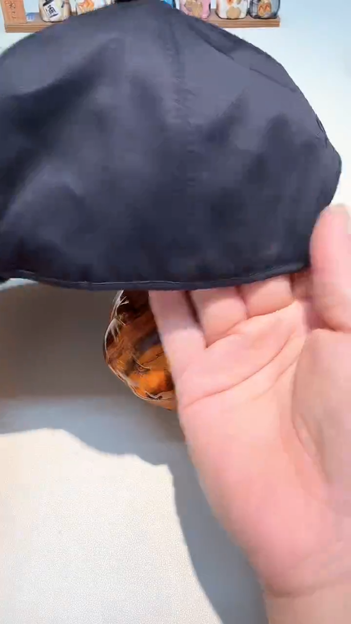 瓷片瓷器都是大宝贝儿瓷器都是大漂亮705
