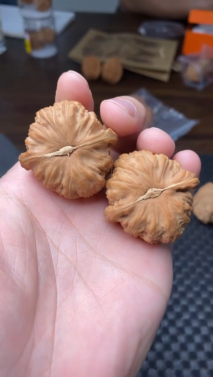 把件文玩核桃带*不全品白狮子39尺