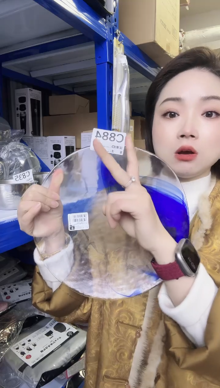瓷片进口家用百货28cm盘两只 C884(随机颜色