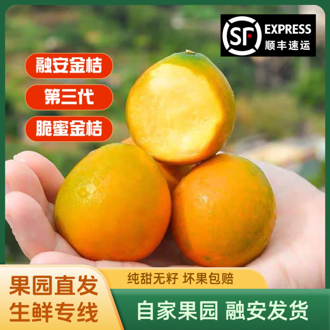 【脆蜜金桔4斤】融安金桔正宗第三代（独立包装）自家果园直发顺丰
