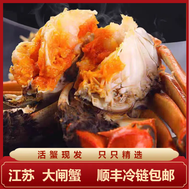 【活蟹】江苏大闸蟹 精品全母蟹3.3两-2.7两8只 10只现捕捞包邮到家