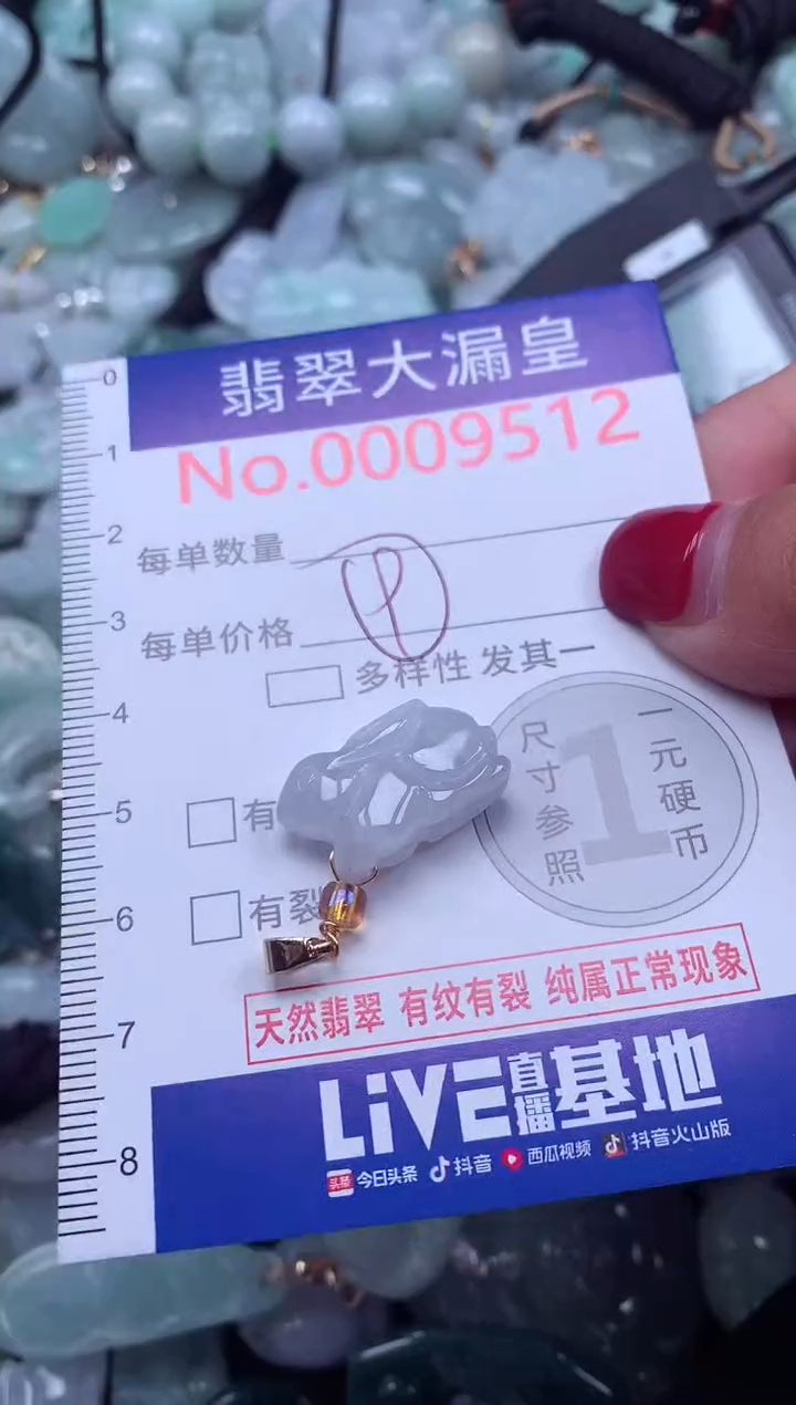 颈饰未镶嵌翡翠9512