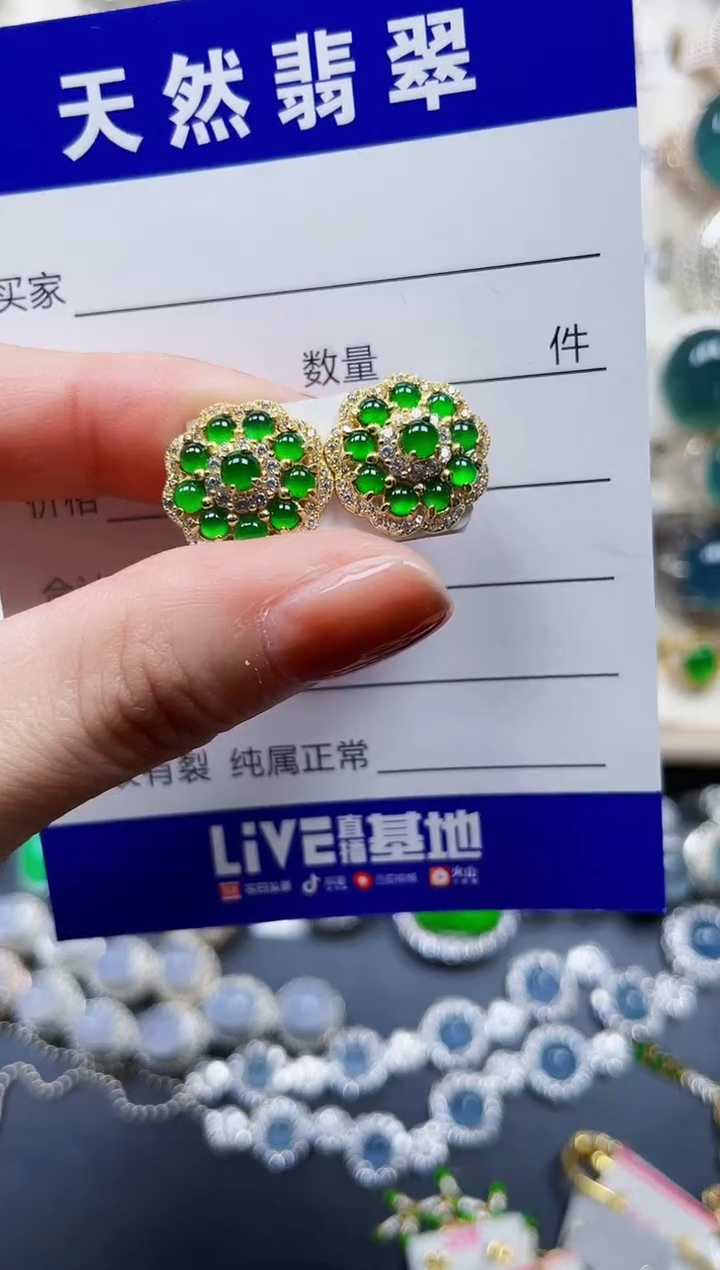 银S925镶嵌翡翠耳饰481