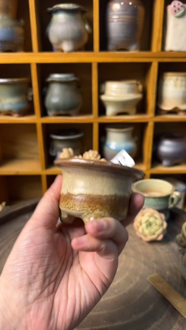 843 内口5【多肉花盆多肉盆】