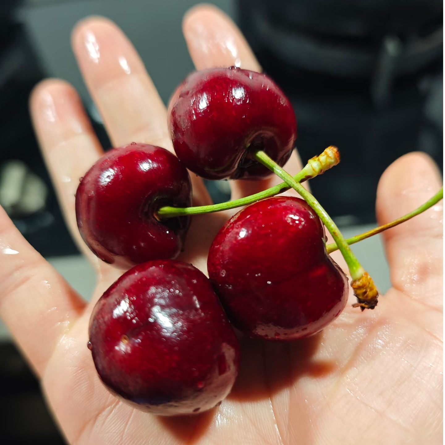 桑提娜3J 智利海运车厘子 1.5KG盒装桑提娜智利