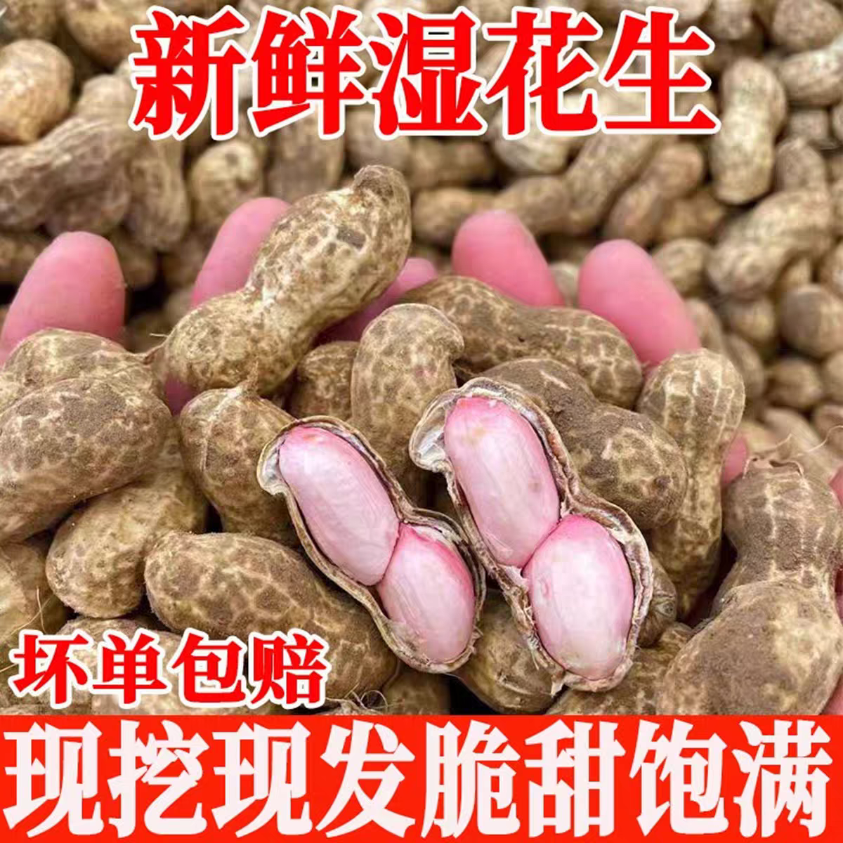密云本地2025年新鲜花生毛豆现摘现发下酒菜顺丰包邮