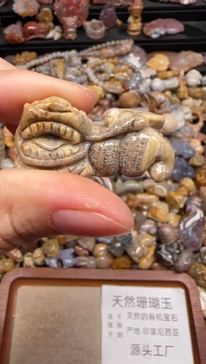 硅化珊瑚（珊瑚玉）未镶嵌颈饰231