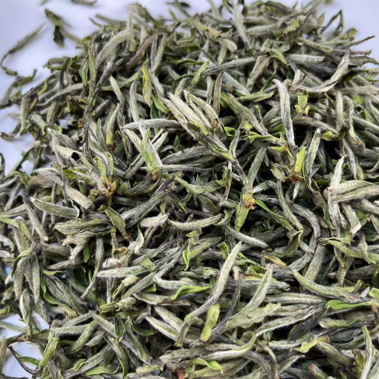 金奖！{冰糖雪甜} 25年首采老树荒山牡丹王