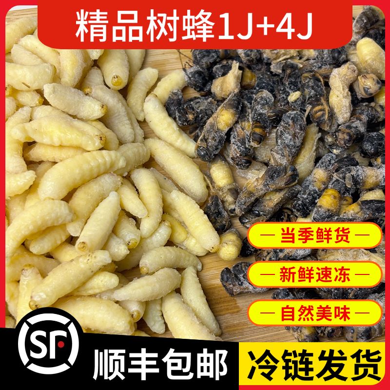 树蜂1+4蜂蛹新鲜速冻蜂蛹今年新货马蜂胡蜂葫芦蜂