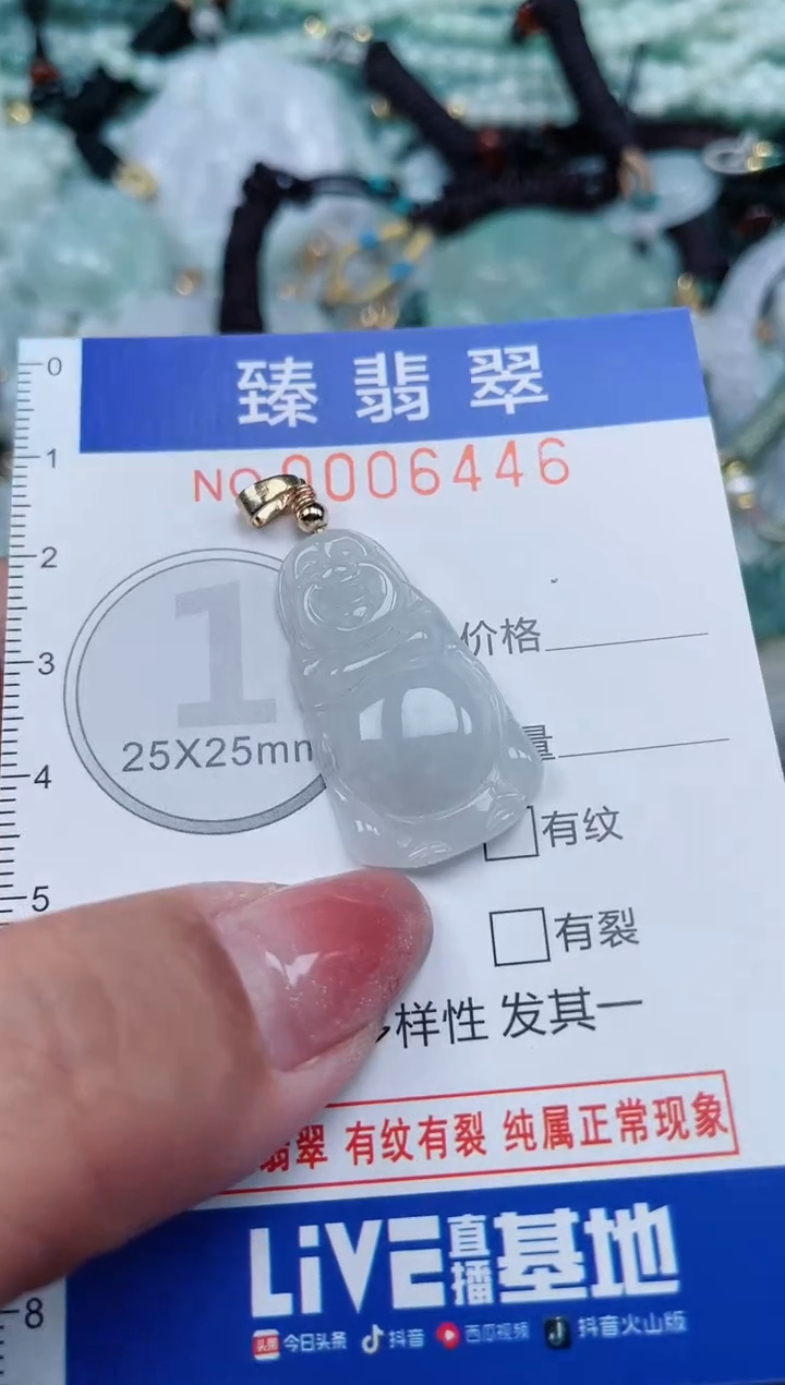 【闪购商品】翡翠颈饰未镶嵌.0006446