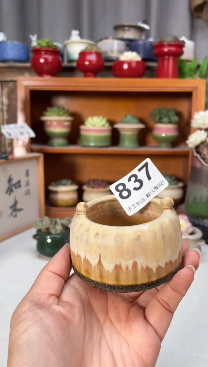 瓷片837小芳直播编号