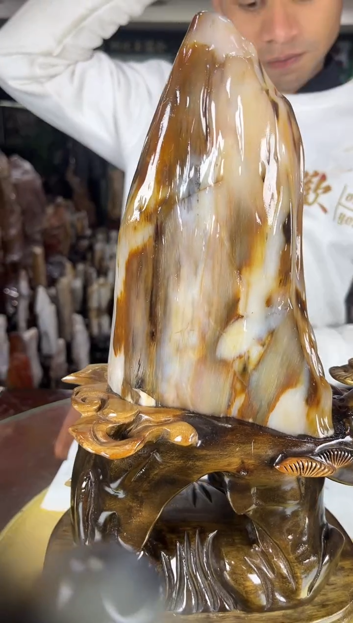 未镶嵌珠宝奇石硅化玉缅甸天然树化玉精品居家摆件