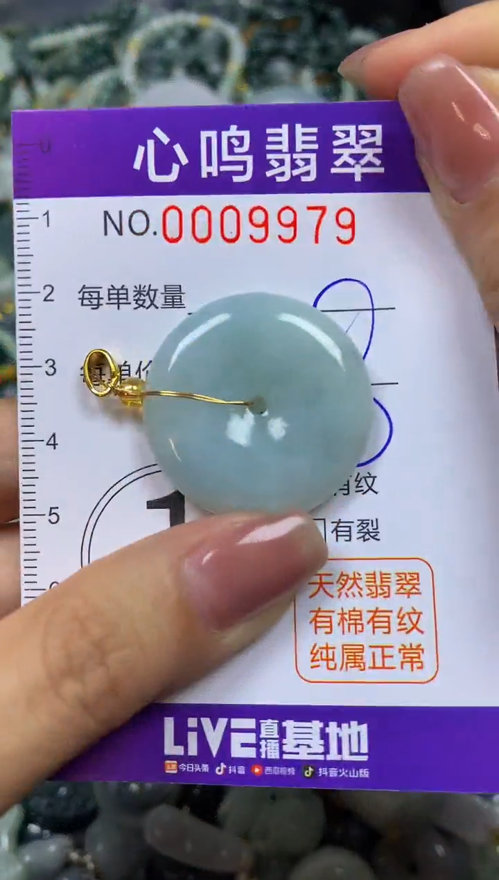 翡翠未镶嵌颈饰闪购009979