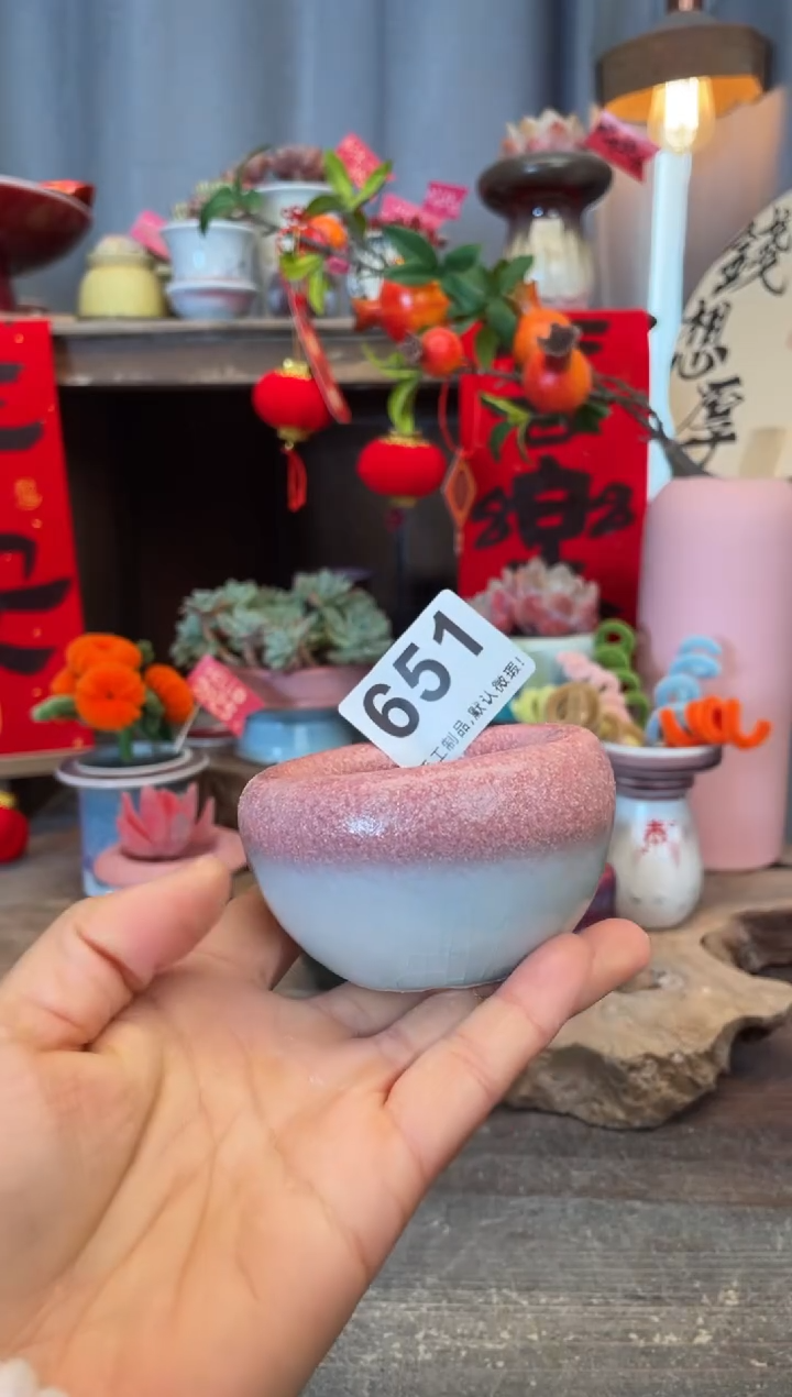 【闪购商品】摆件651知木小芳花盆