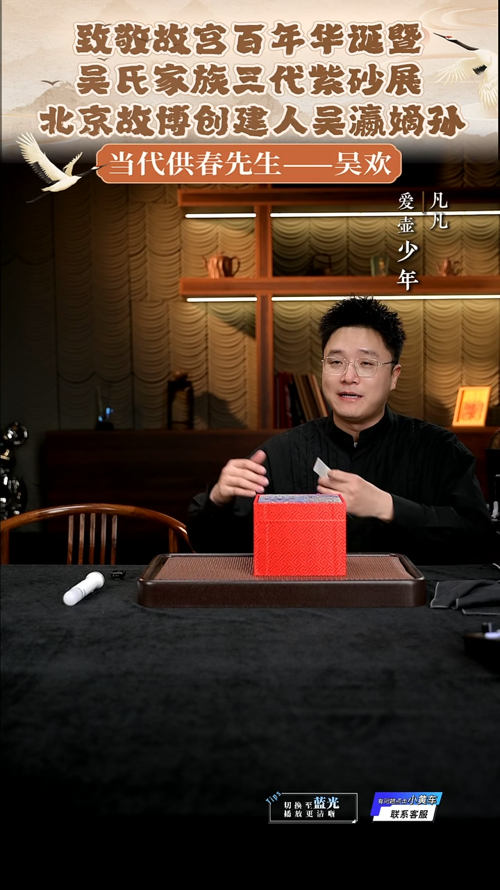 茶壶紫砂凡凡会客厅紫砂壶13