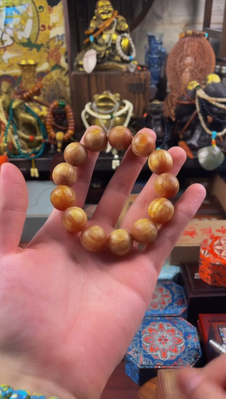 木贰号院直播精选推荐