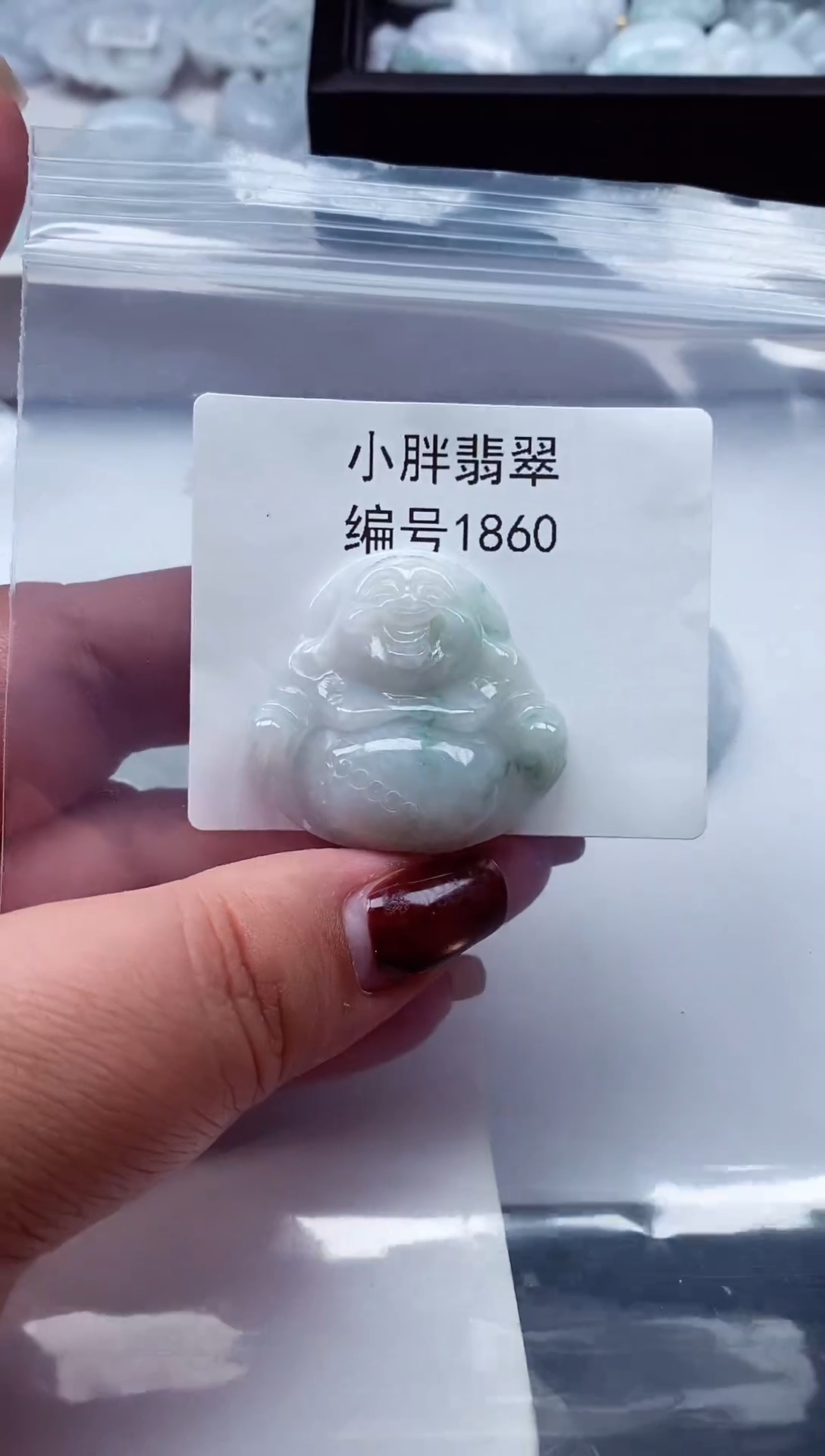 颈饰未镶嵌翡翠缅甸天然A货翡翠1860