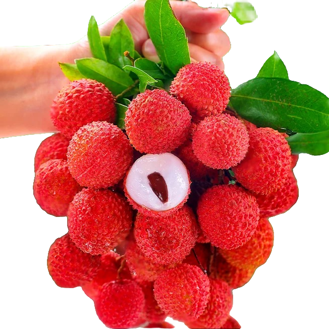 【FQ明日达】6月30日现货广东高州桂味荔枝当季限量鲜甜味浓3斤-5斤装（顺丰新鲜送达）荔枝同城送