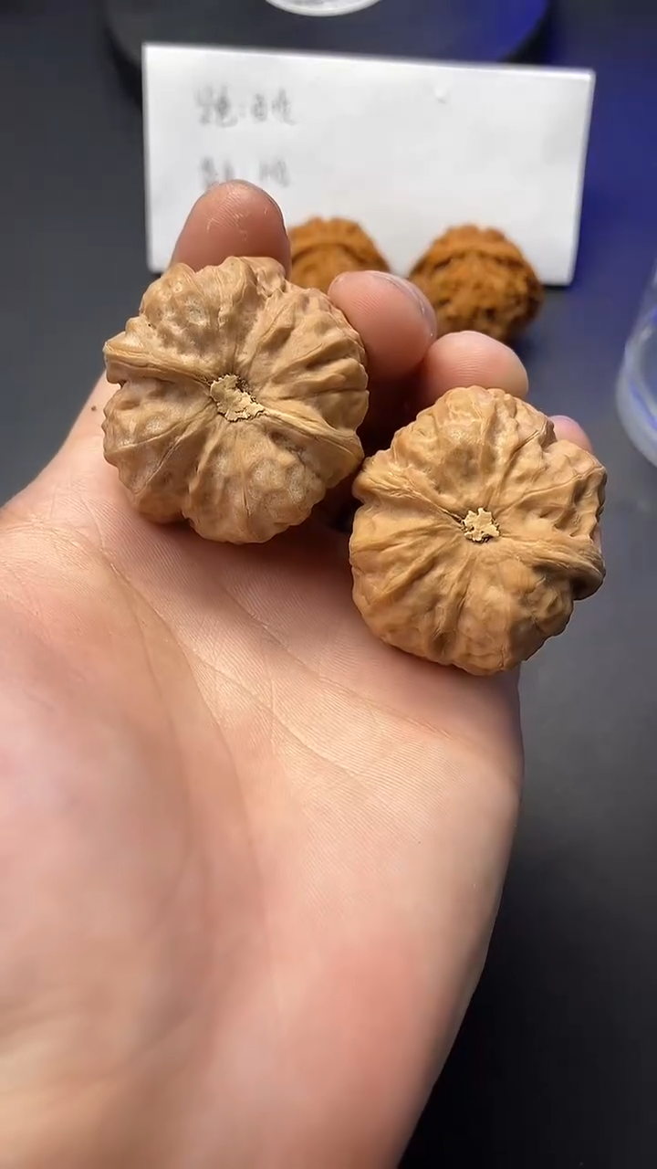 文玩核桃把件全品蛤蟆头37