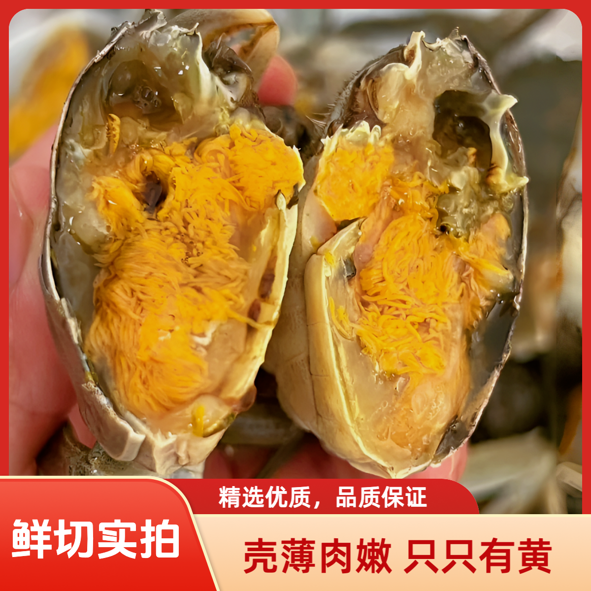 【10只京东包邮】10只河蟹 单只1.2-1.5硬规格 次日达京东包邮 签收2小时内验货