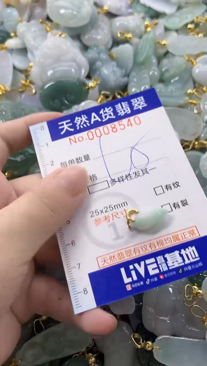 颈饰未镶嵌翡翠天然A货翡翠